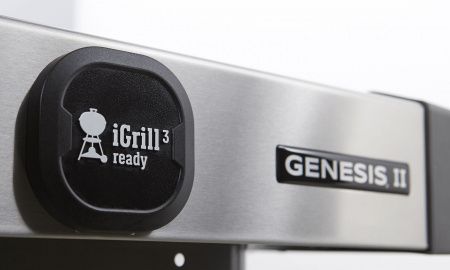 weber genesis ii e-310 gbs фото