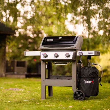 weber spirit ii e-310 gbs фото