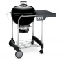 weber performer gbs фото