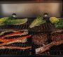 weber genesis e-335 фото