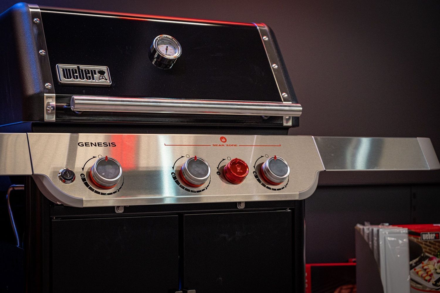weber genesis e-325s  фото